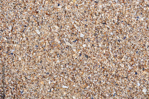 Sand, fine stones and many different particles of crushed shells
