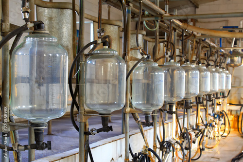 glass milk storage tank in a milking workshop © zhang yongxin