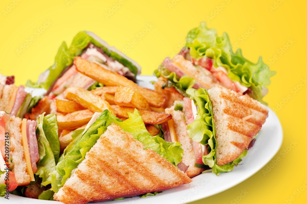 Grilled sandwiches with french fries on white plate