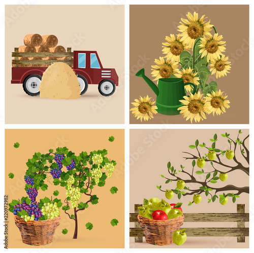 Vintage set with sunflowers, grapes and tractor Vector
