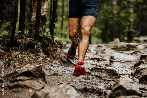 Fototapeta wet feet runner athlete running on trail stones in forest