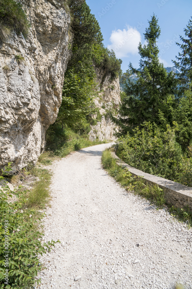 Dirt road in the mountains on a sunny day. Ancient military road in the Italian Alps in the woods above Lake Garda.