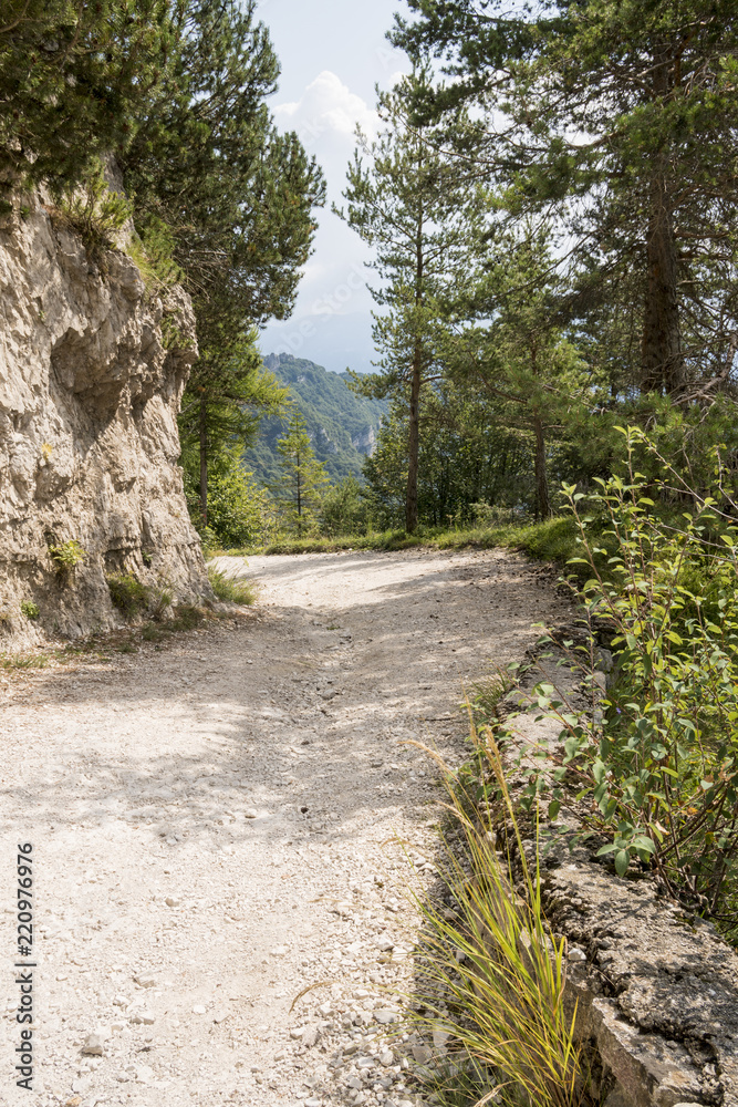Fototapeta premium Dirt road in the mountains on a sunny day. Ancient military road in the Italian Alps in the woods above Lake Garda.