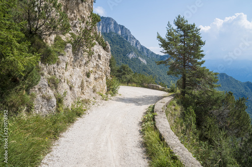 Dirt road in the mountains on a sunny day. Ancient military road in the Italian Alps in the woods above Lake Garda. © Arcansél