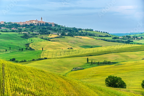 Pienza is a town in the Val d'Orcia in Tuscany, between Montepulciano and Montalcino.