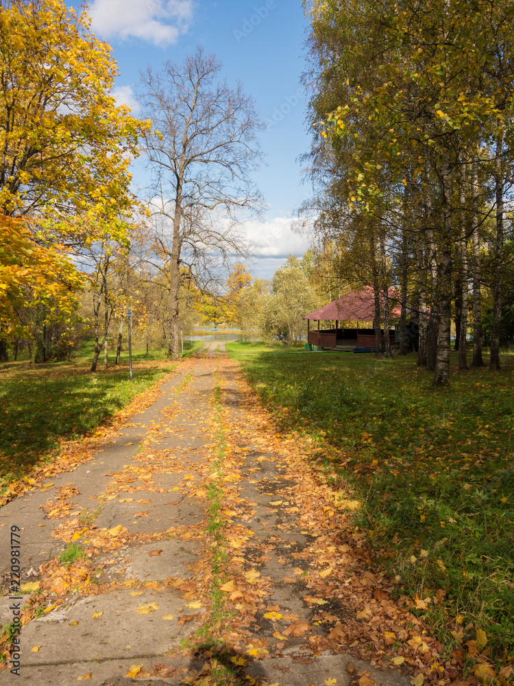 landscape in the autumn park landscape in the autumn park