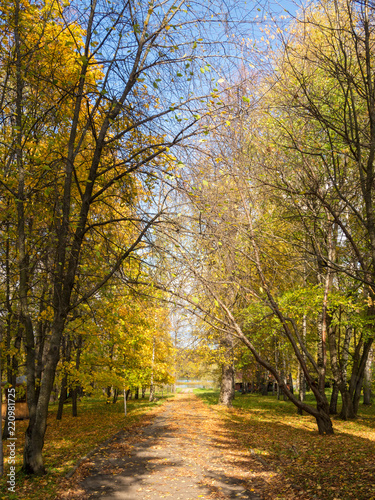 landscape with a path