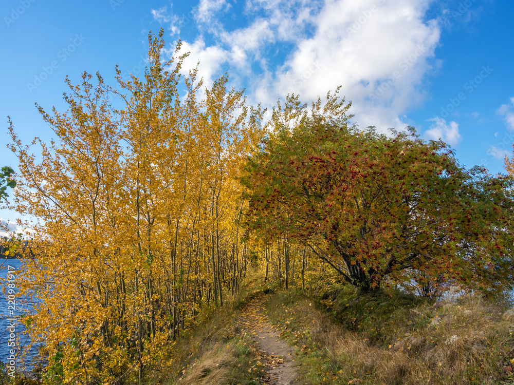 sunny autumn landscape