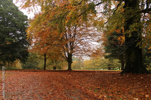 Autumn at Nottingham 4