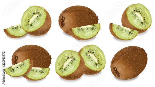 Kiwi set Vector realistic isolated on white backgrounds