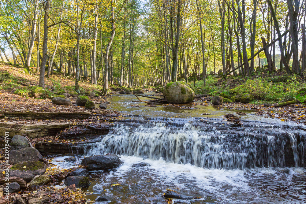 Ravine with stream and waterfall in the deciduous forest; Ravine with stream and waterfall in the deciduous forest;