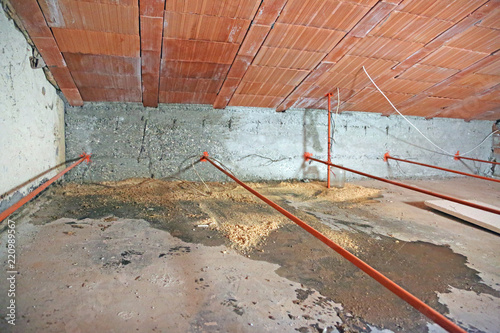 Εκτύπωση καμβά damp attic with serious problems of humidity and infiltrations f