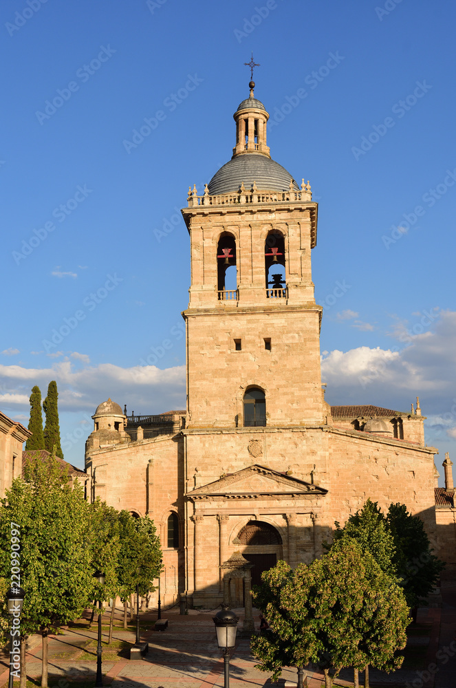 Santa Maria Cathedral, Ciudad Rodrigo, Salamanca province, Spain