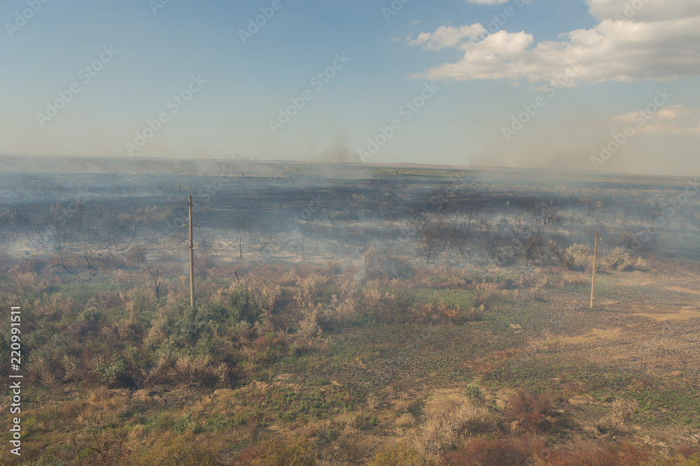 Forest fire. Burned trees after wildfire, pollution