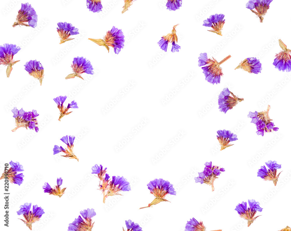 Floral frame made of Limonium or Statice flowers isolated on white background. Top view with copy space. Flat lay.