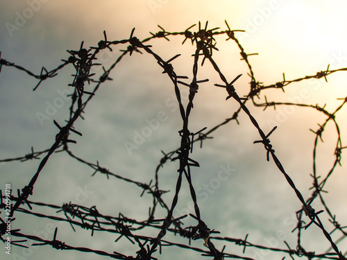 Tangle of barbed wire against the morning sky  Silhouette photo effect.