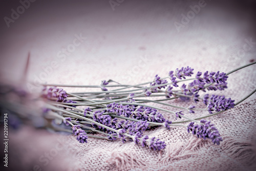 Fototapeta Naklejka Na Ścianę i Meble -  Lavender bouquet on canvas background
