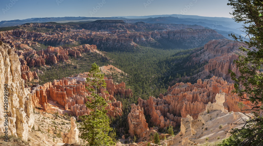 Bryce Canyon National Park Panorama View