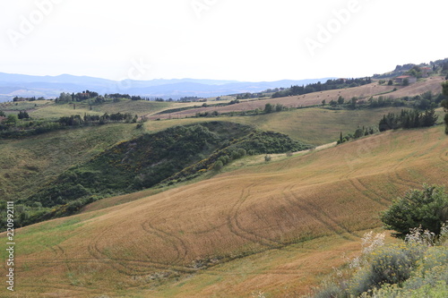 Colline Toscane