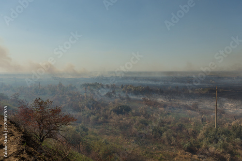 Forest fire. Burned trees after wildfire, pollution © adydyka2780