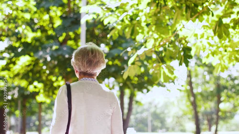 old age, retirement and people concept - senior woman walking along summer park old age, retirement and people concept - senior woman walking along summer park