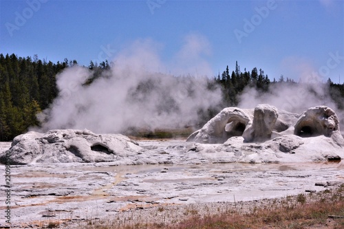 Travel to Yellowstone National Park