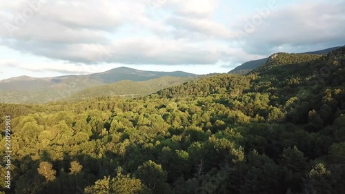 Aerial view of pyrenean forest filmed with drone, Aude in southern of France
