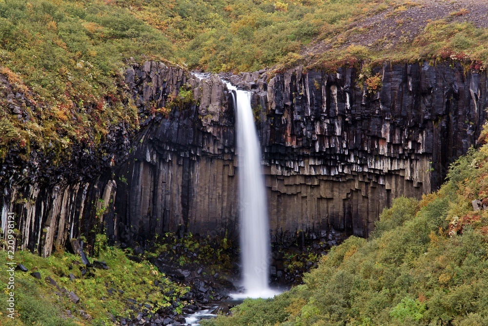 Cascada negra de Svartifoss en Islandia. Stock Photo | Adobe Stock