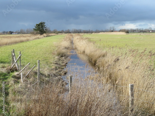 Marais vendéen