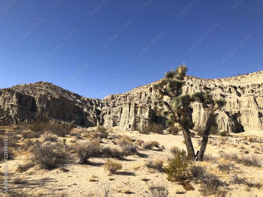 Fototapeta premium Mojave Desert California, Redrock Canyon, Canyon, Desert, California, Desert California