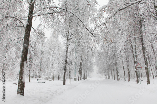 Snowfall in the park, snowy winter road, snow covered trees landscape. Bad weather concept © besjunior