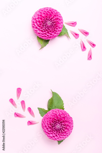Fototapeta Naklejka Na Ścianę i Meble -  Dahlia ball-barbarry and petals with green leaves - top view on pink bright summer flower