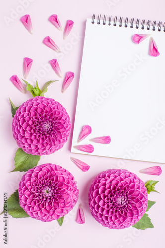 Fototapeta Naklejka Na Ścianę i Meble -  Dahlia ball-barbarry flowers and petals with green leaves and buds.