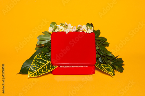 Close up of plant box