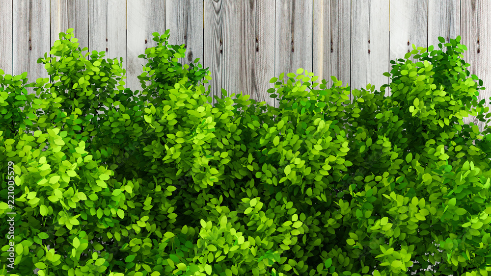 Beautiful summer background with leaves and white space. 3d illustration, 3d rendering. Beautiful summer background with leaves and white space. 3d illustration, 3d rendering.