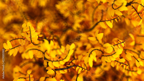 Beautiful autumn background with leaves. 3d illustration, 3d rendering. © Pierell