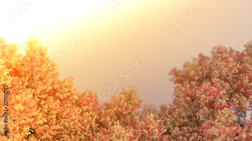 Beautiful autumn background with leaves and white space. 3d illustration, 3d rendering. © Pierell