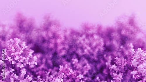 Beautiful purple background with leaves, season of the year. 3d illustration, 3d rendering.