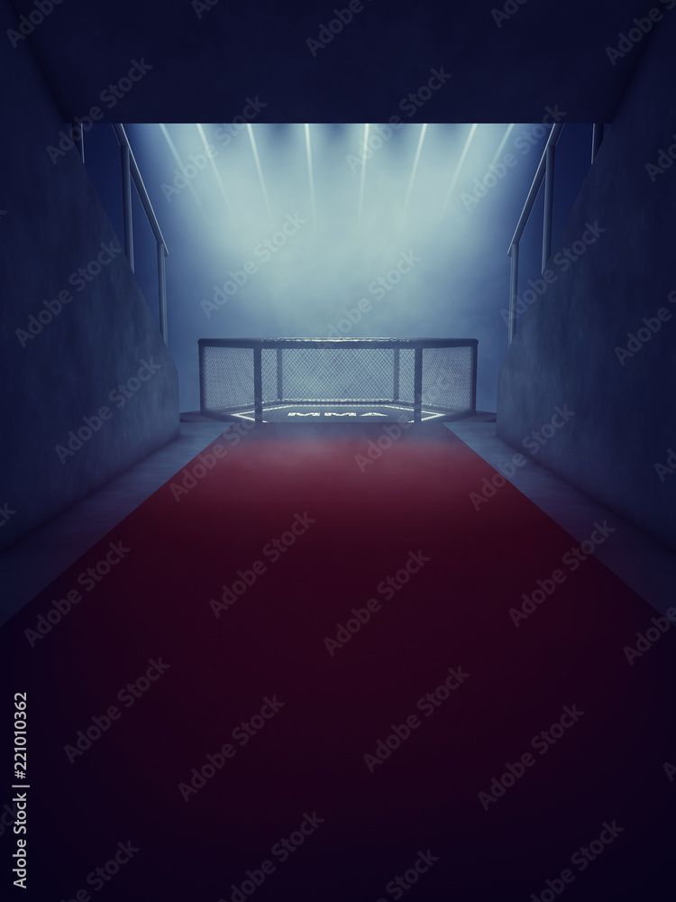 MMA fight cage lit by spotlights, Mixed martial arts arena entrance
