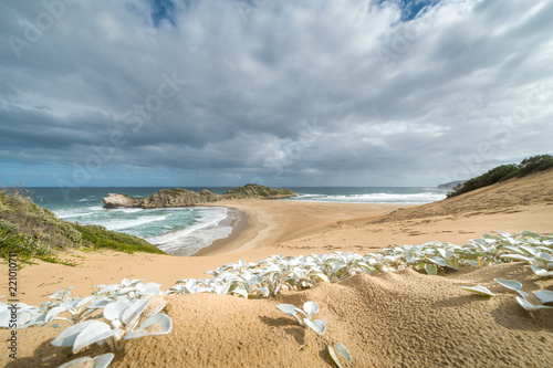 Robberg Nature Reserve, Plettenberg bay, beach and rock photo