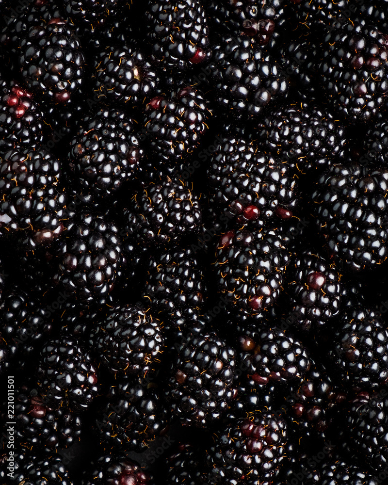 blackberry background blackberry background