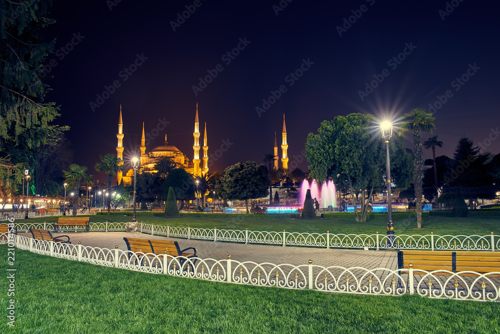 Obraz premium The Sultan Ahmed Mosque in Istanbul at night