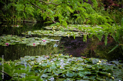 Monet s Gardens and House at Giverny  Normandy  France