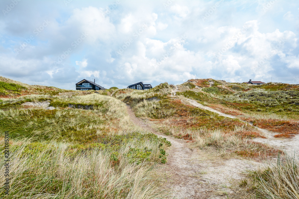 Dune landscape at the North Sea with holiday homes near Henne Strand, Jutland Denmark Scandinavia
