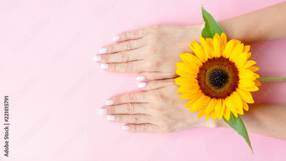 Stylish trendy female manicure. Beautiful young woman's hands on pink background with sunflower. Manicure concept. Stylish trendy female manicure. Beautiful young woman's hands on pink background with sunflower. Manicure concept.