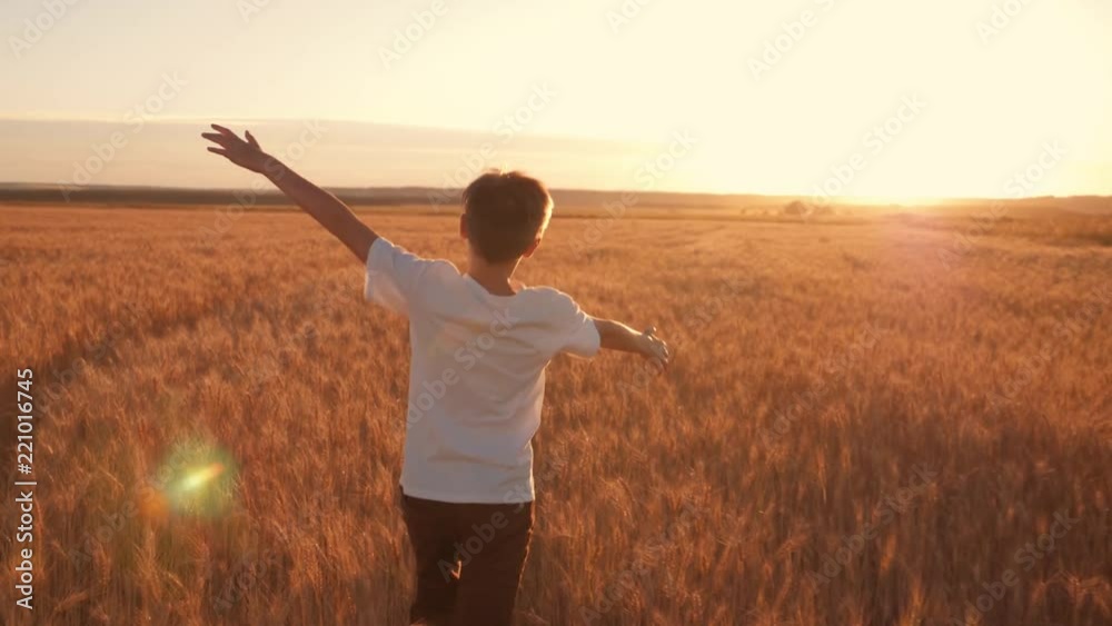 A boy in a white T-shirt is walking along the golden wheat field