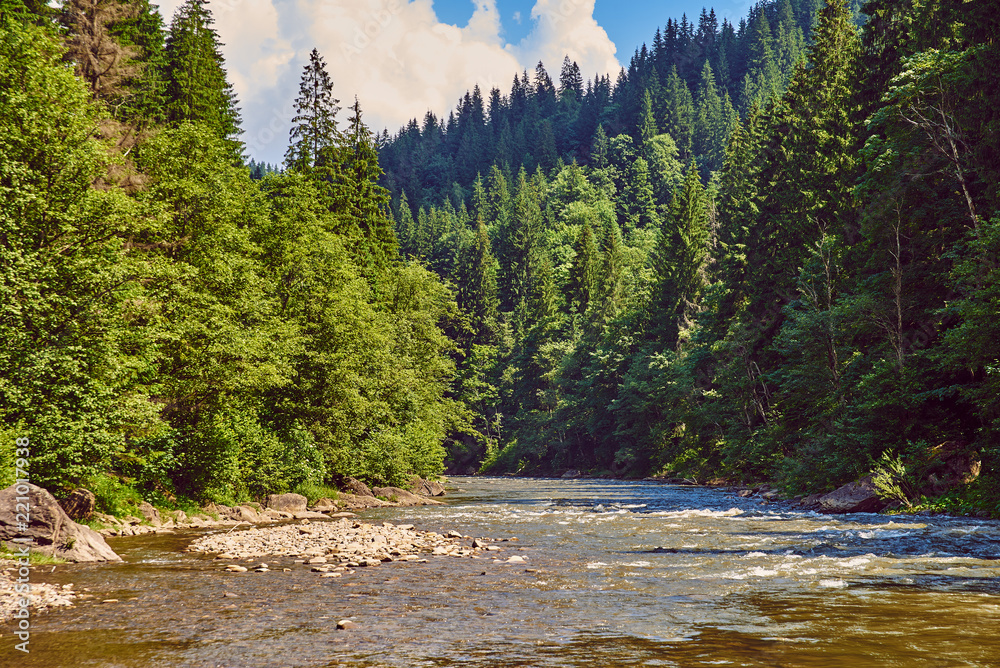 river in the Carpathian Mountains