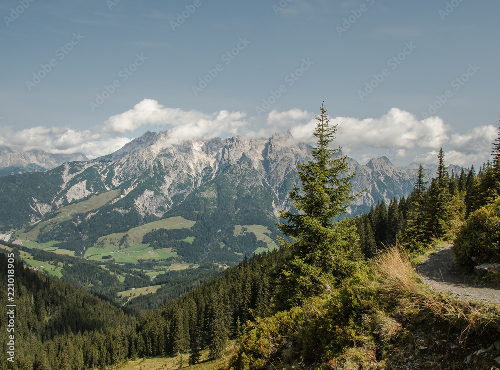 Obraz premium Pinzgau in Österreich