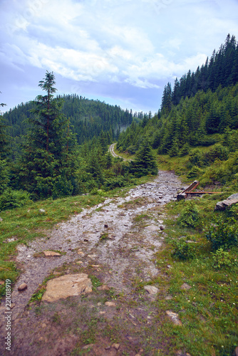 road in the Carpathian mountains
