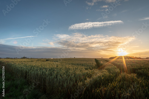 Sunrise at the German fileds